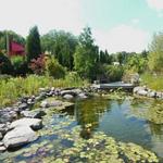 Cox Arboretum MetroPark