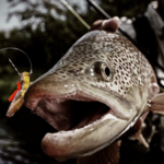 Fly Fishing