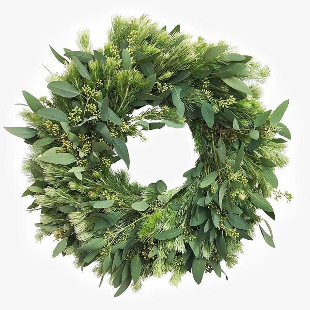 Fresh Wooly Bush and Eucalyptus Wreath, 20"