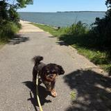 Quiet Waters Park
