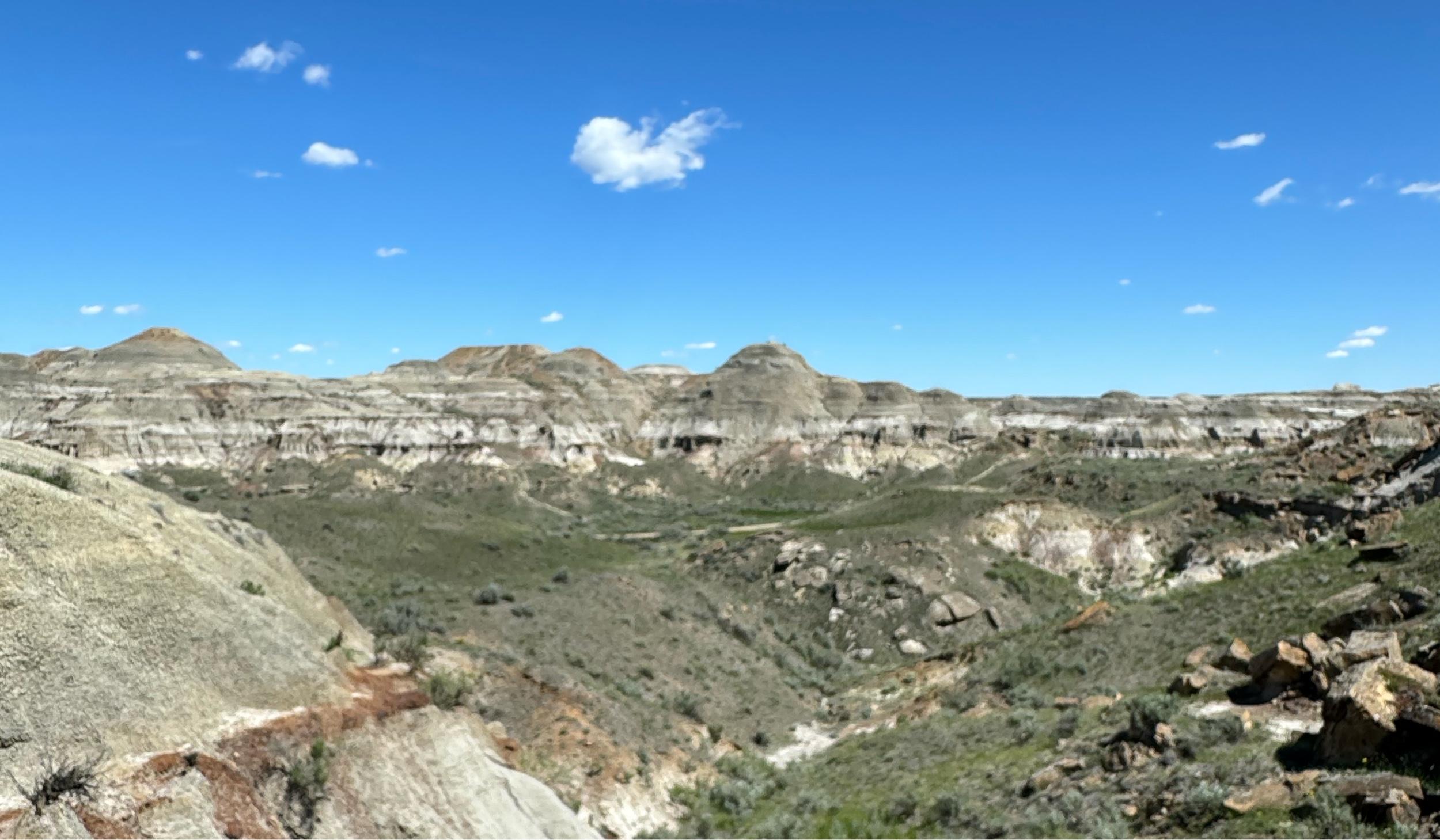 The Wedding Website of Megan Tidwell and Joseph Cadello