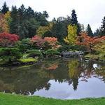 Madison Park and the Arboretum