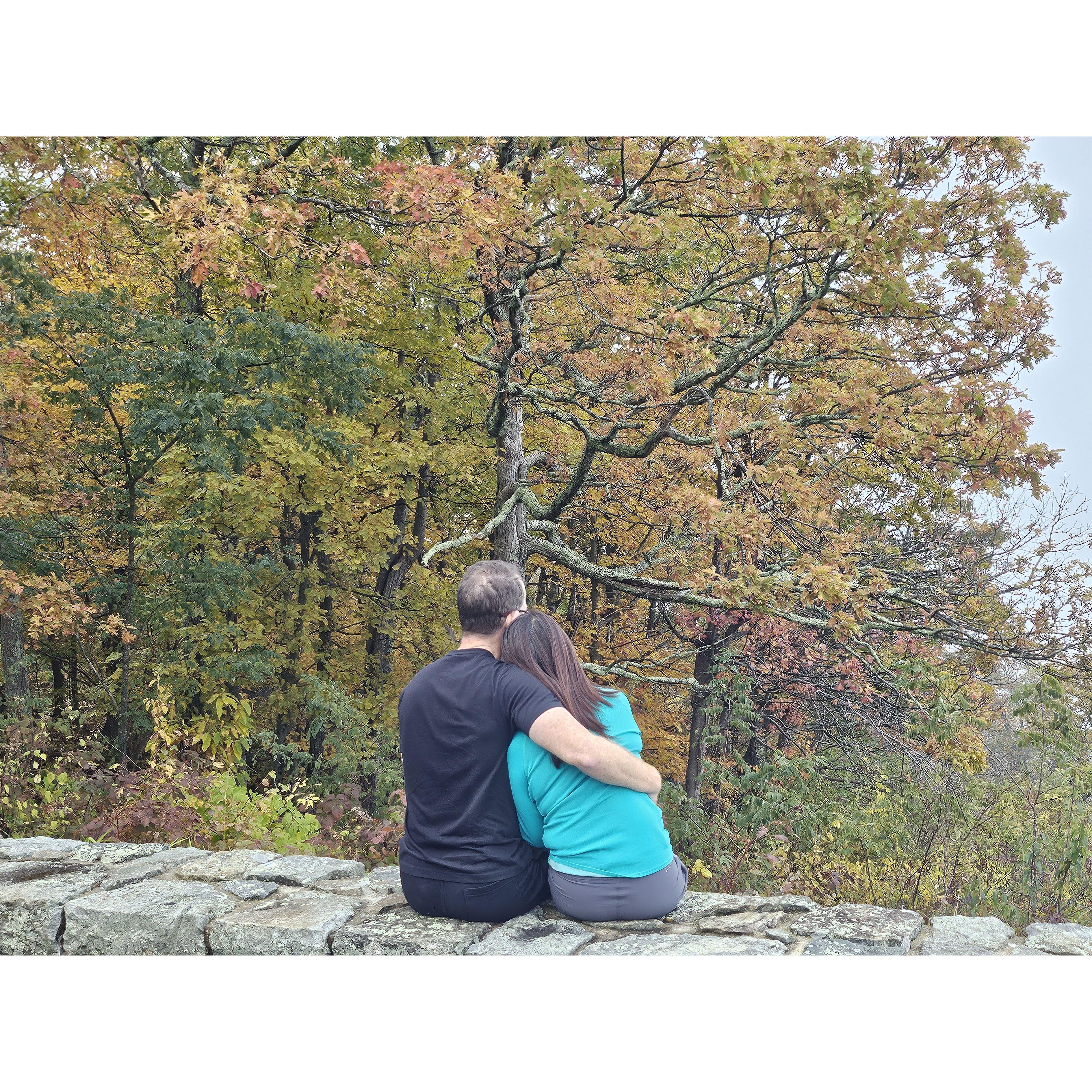 Looking forward to the future together