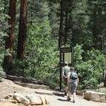 Hyde Memorial State Park