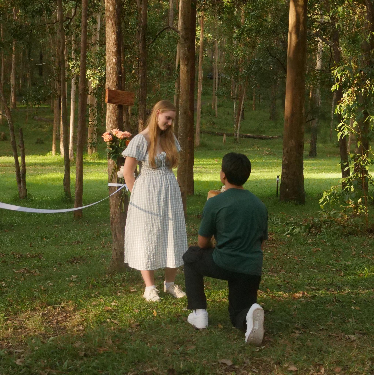 The OG proposal