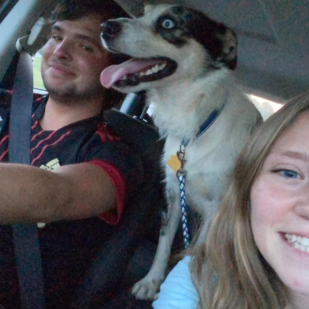 The day we got Blue, Aug 2021! He is Star’s soul dog & Jacob’s best bud! 🫐💙