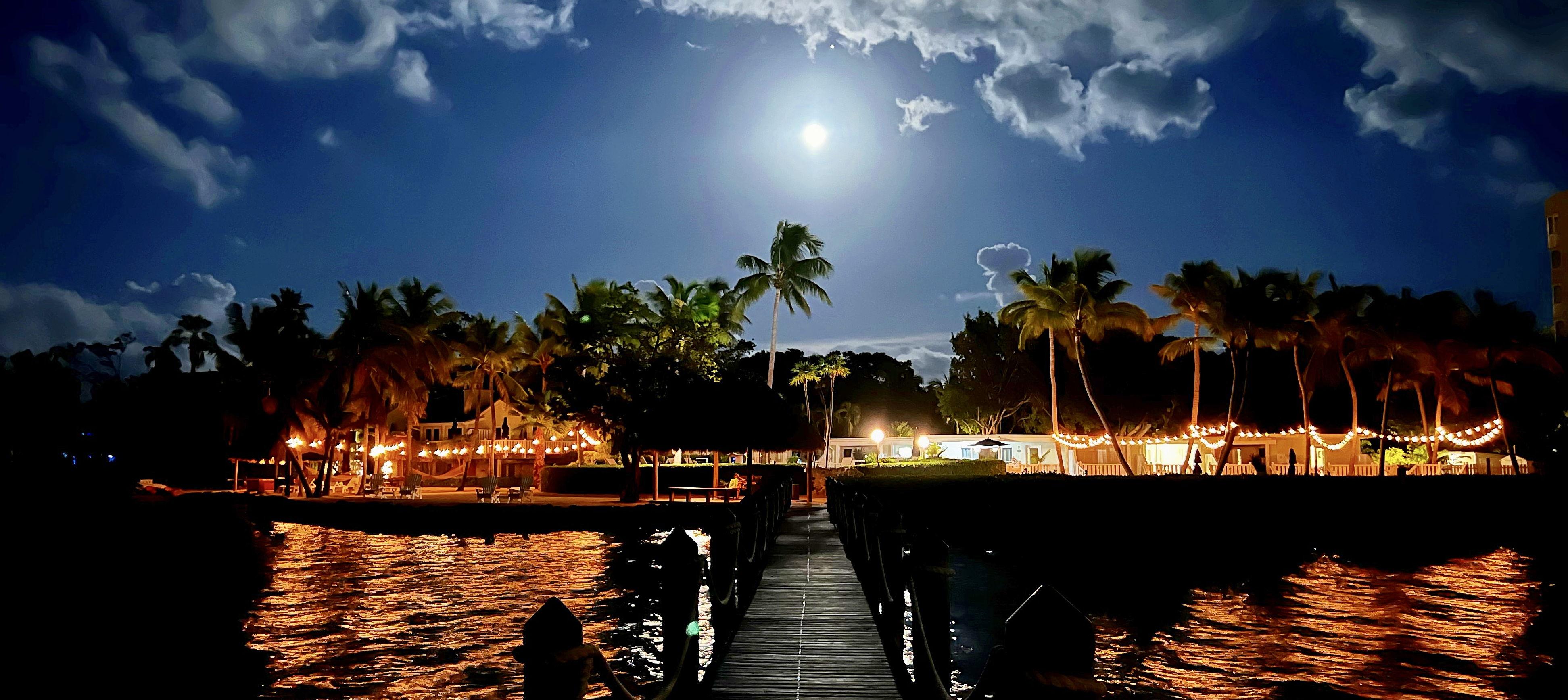 The Wedding Website of Daylin Salomon and Christopher Davila