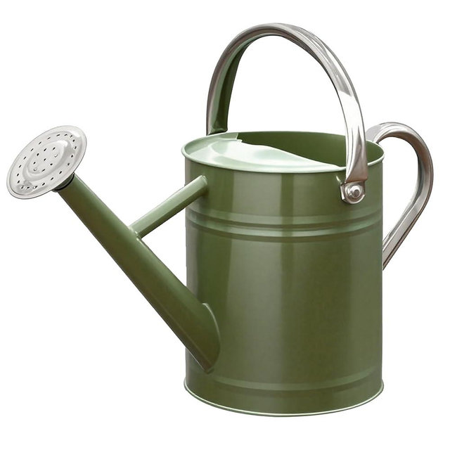 yourjoy Metal Watering Can, One Gallon Watering Cans Stainless Steel for Outdoor Indoor Garden Plants Watering (Emerald Green)
