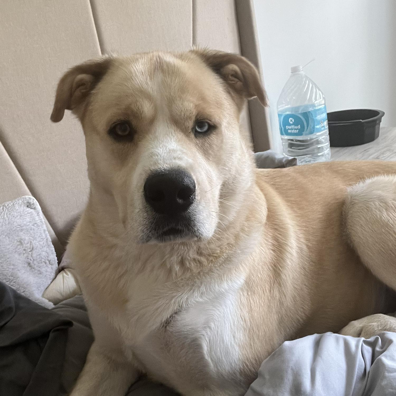 Mr Aston always so serious