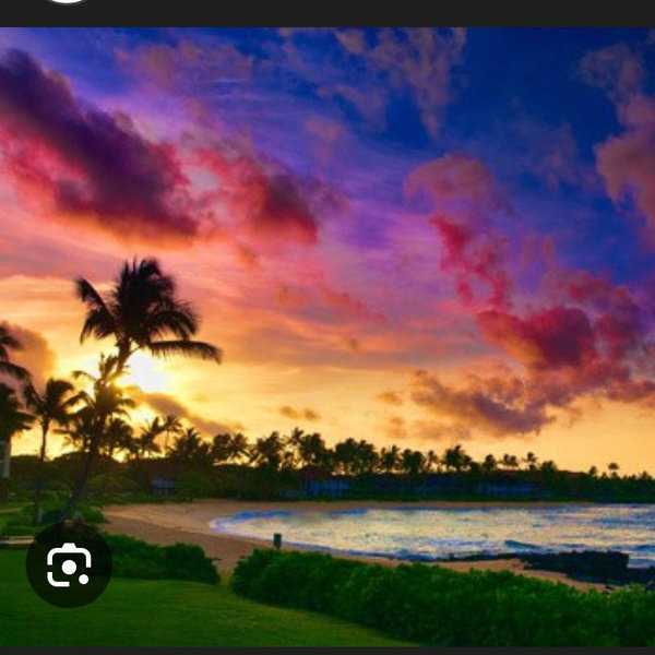 Honeymoon Resort