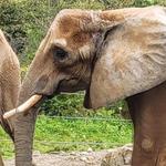 Pittsburgh Zoo & Aquarium