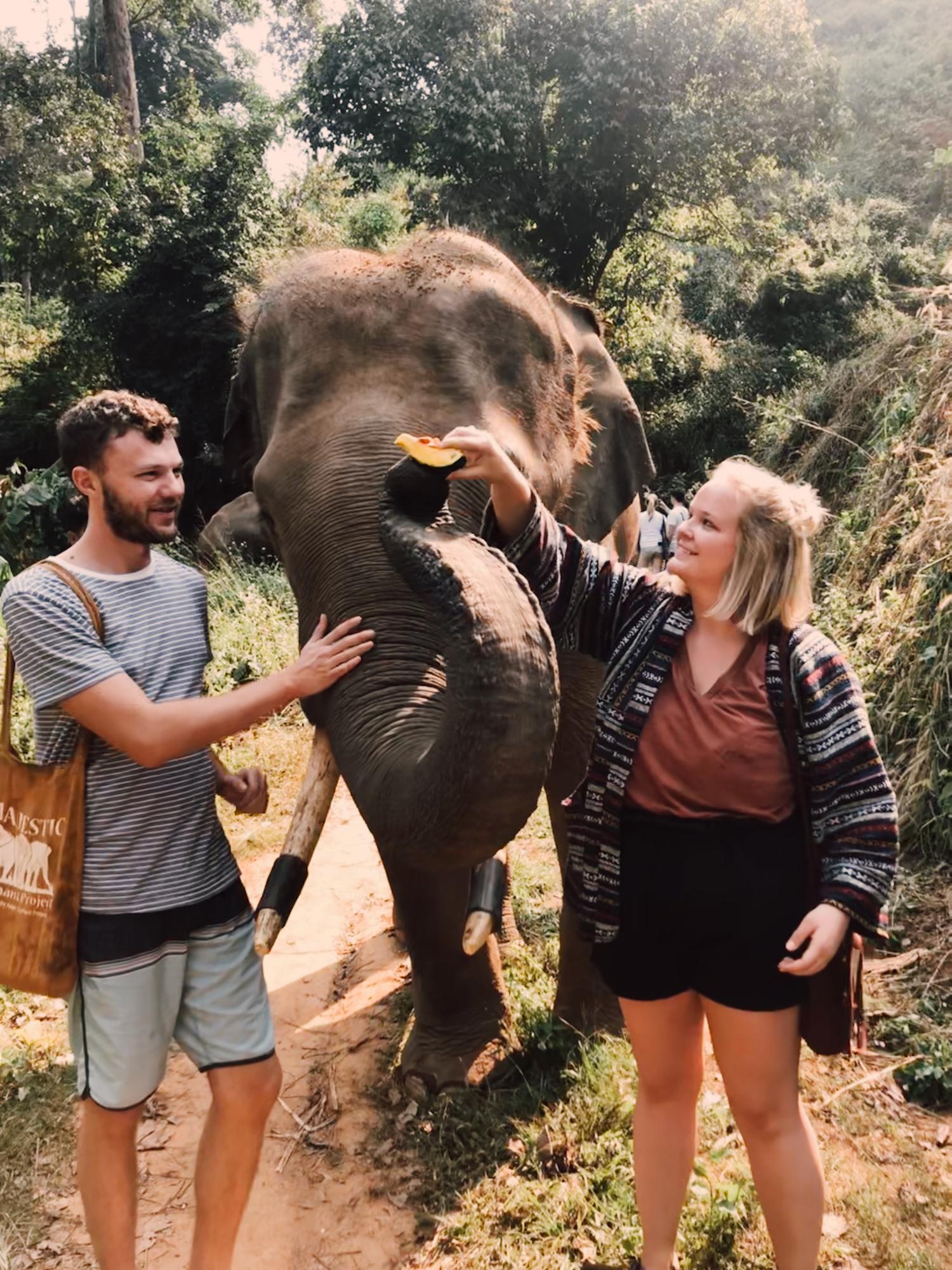 Visiting an elephant sanctuary in Chiang Mai, Thailand | 2020