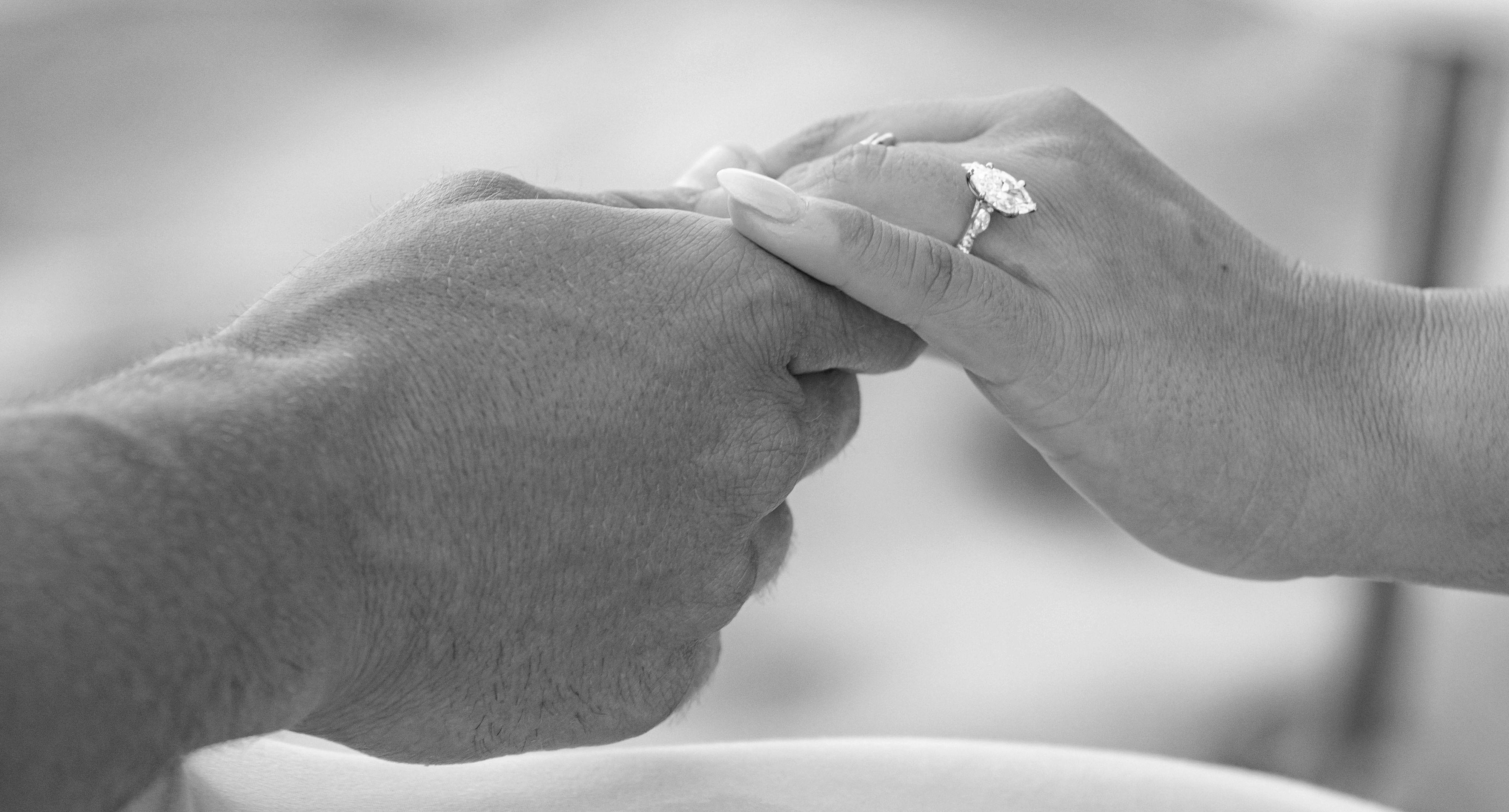 The Wedding Website of Patricia Ann Cucolo and Vincent James Guardino