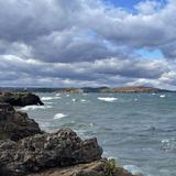Marquette
