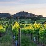 Healdsburg