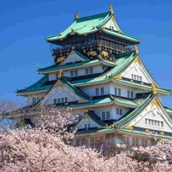 Our Japan Honeymoon