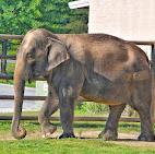 Tulsa Zoo
