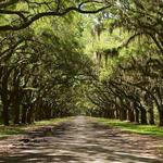 Wormsloe Historic Site