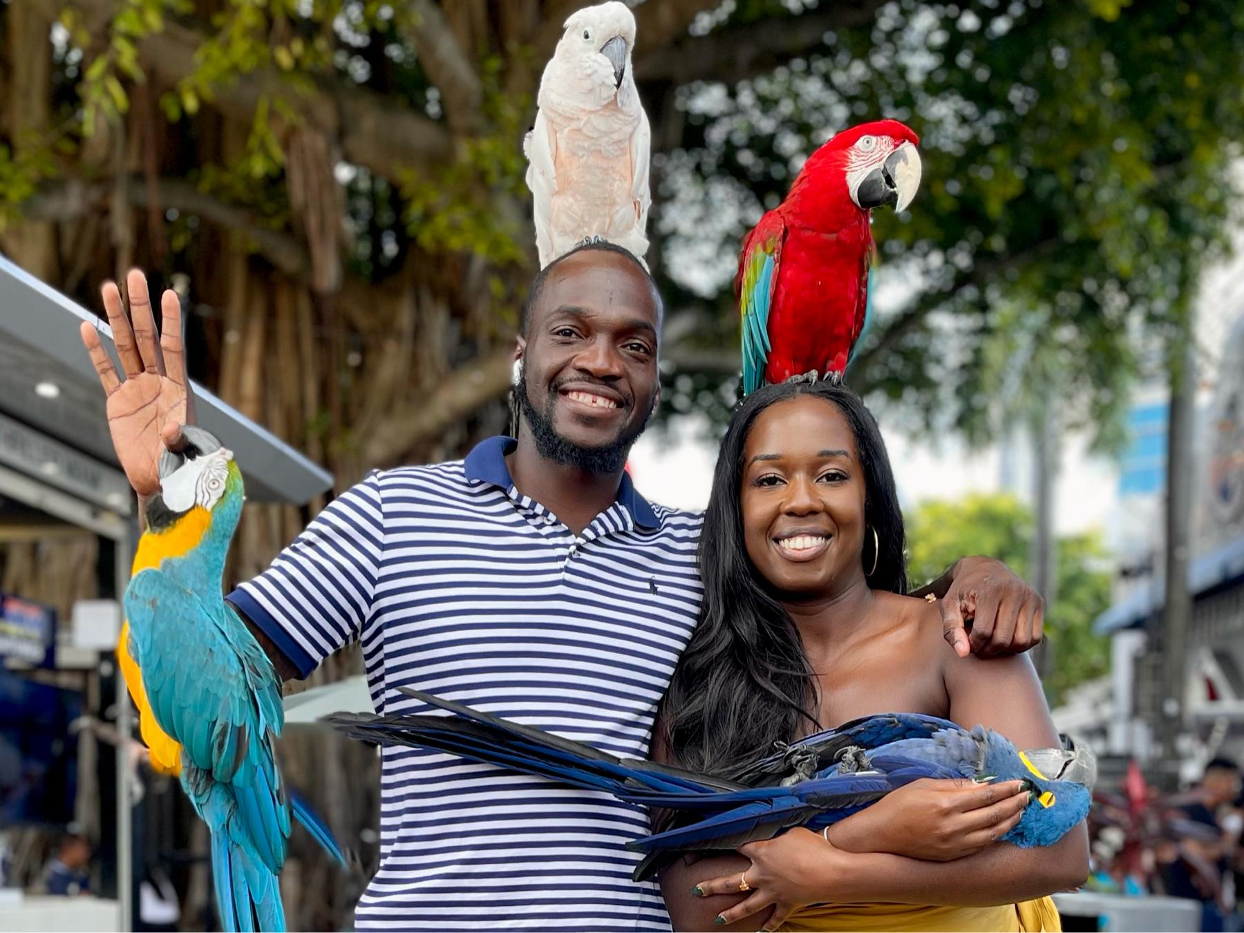 027f6898-3cc1-456f-ba95-90d987d6f868