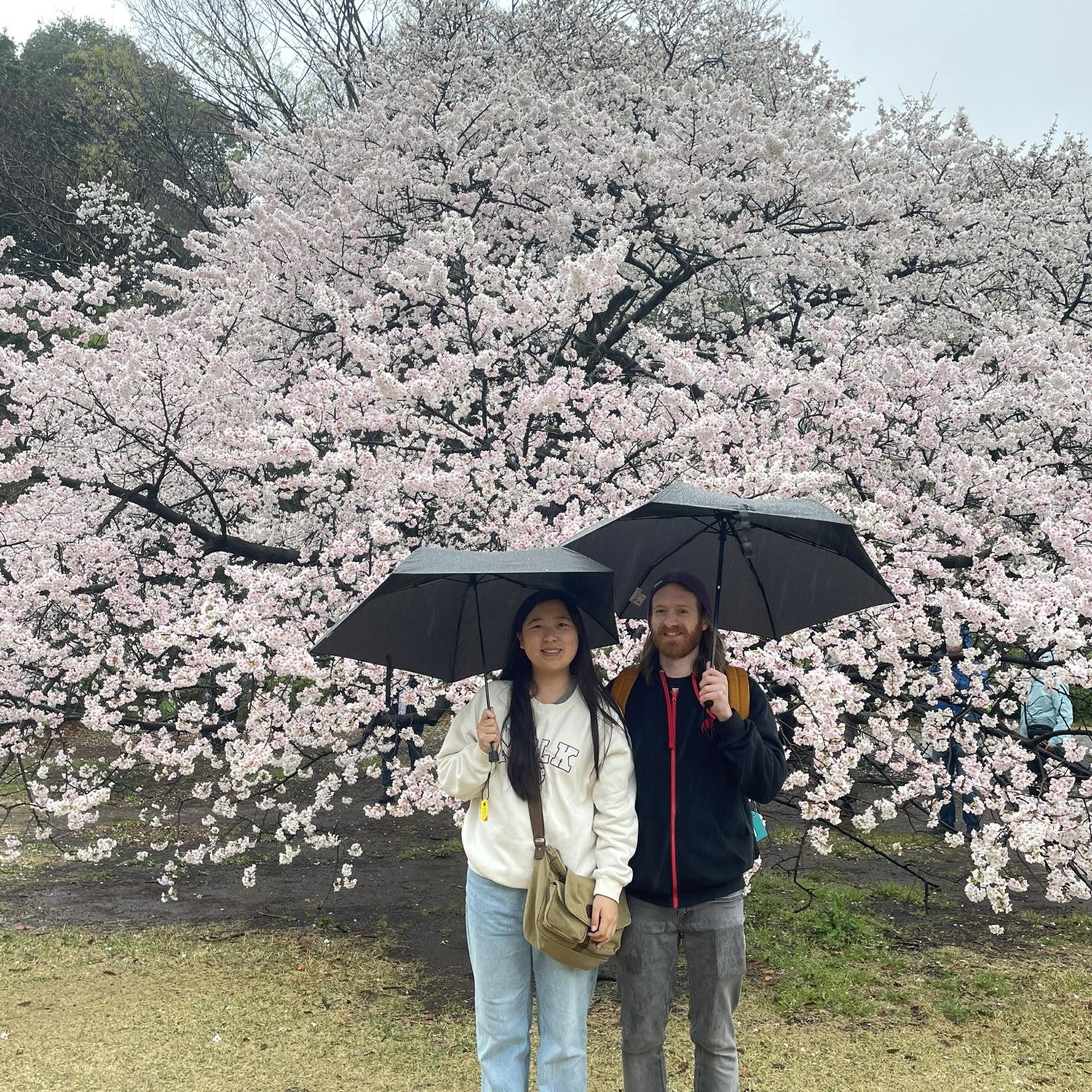 Last day in Tokyo. It was raining but we went to see the cherry blossoms anyways!