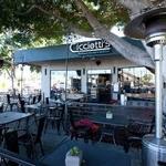 Cicciotti's Trattoria Italiana & Seafood