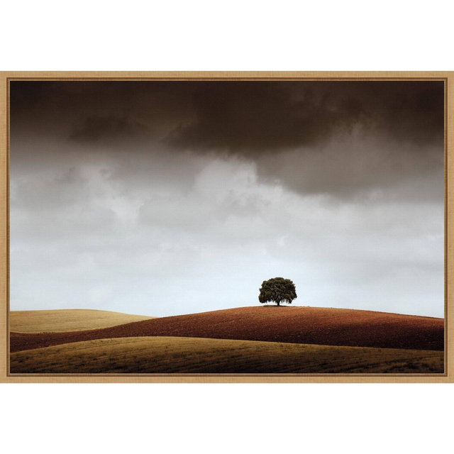 Amanti Art 23" x 16" Distant Tree and Horizon by Alberto Merchan Framed Wall Canvas : Landscape Artwork