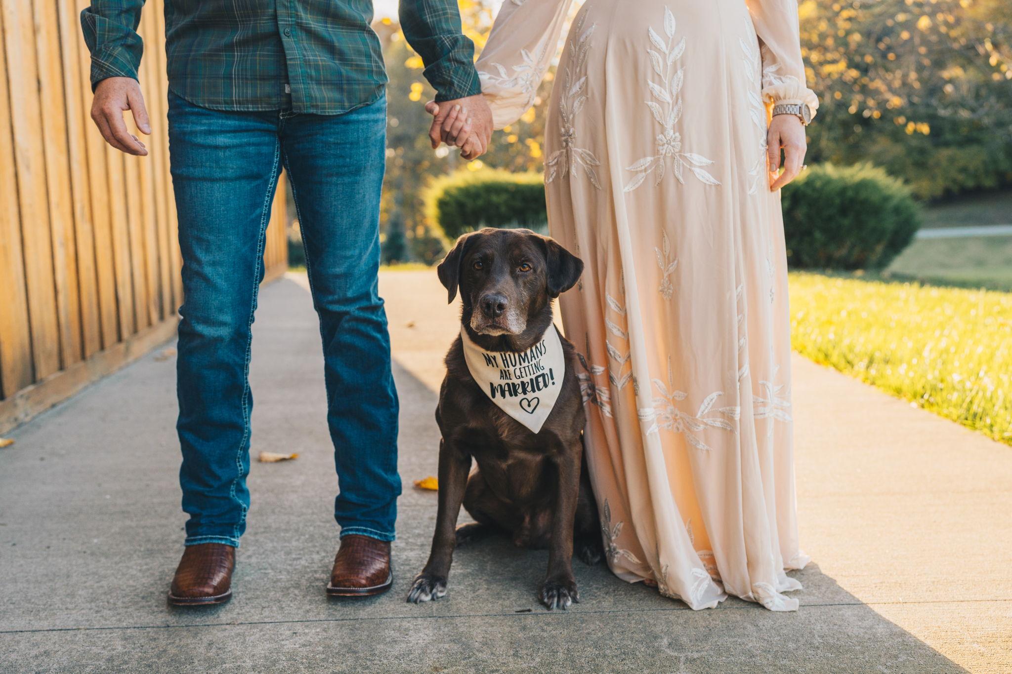 The Wedding Website of Jake Lay and Lindsay Degnan