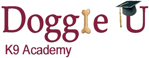 One Month of Dog Obedience Training Classes at Doggie U