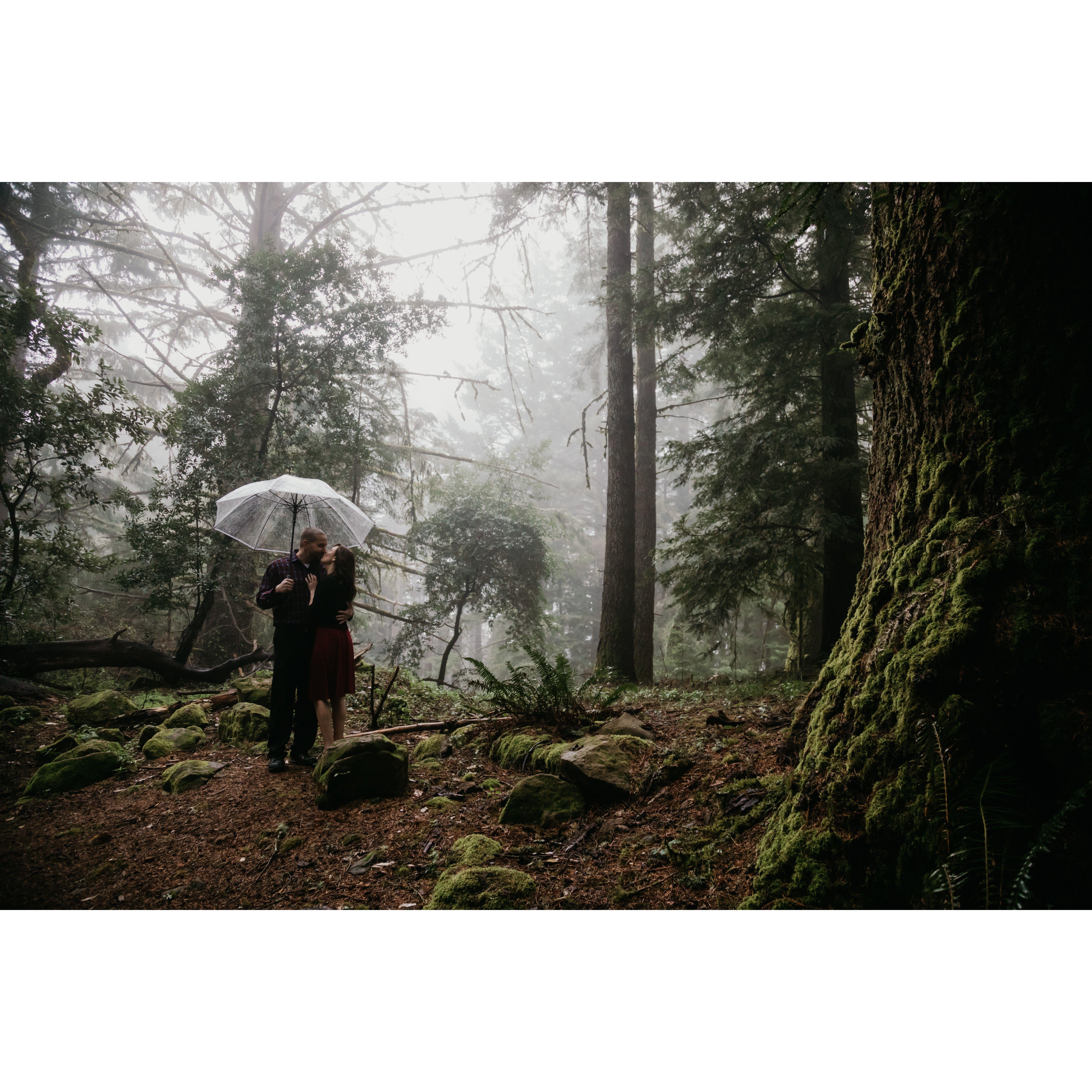 El Corta de Madera Creek Preserve. Woodside, California. March 2022.
Photo Credit: Danielle Alysse Photography