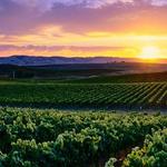 Sonoma Valley