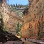 Ashdown Gorge Trail (Zion "Narrows" Alternative)