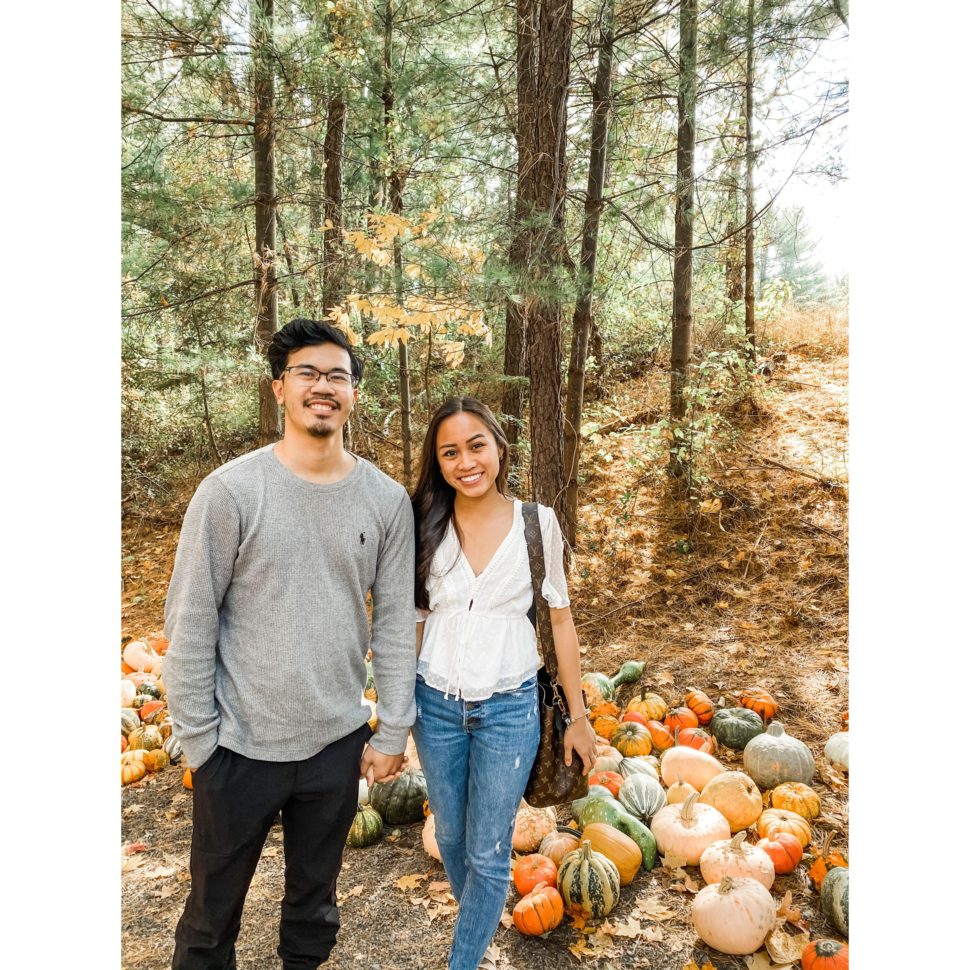 Pumpkin Patch 2020