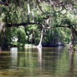 Premier Boat Tours
