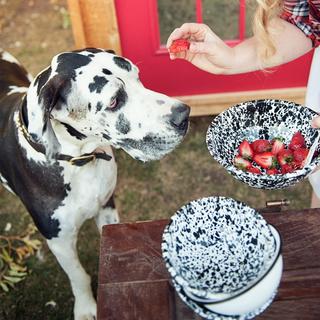 Splatter Enamelware Cereal Bowl, Set of 4