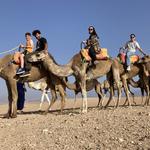 Camel Ride & Desert Sunset Dinner