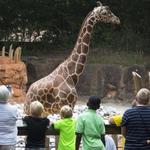 Zoo Atlanta