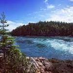 Reversing Falls