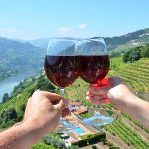Douro Valley Wine Tour