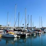 Oceanside Harbor