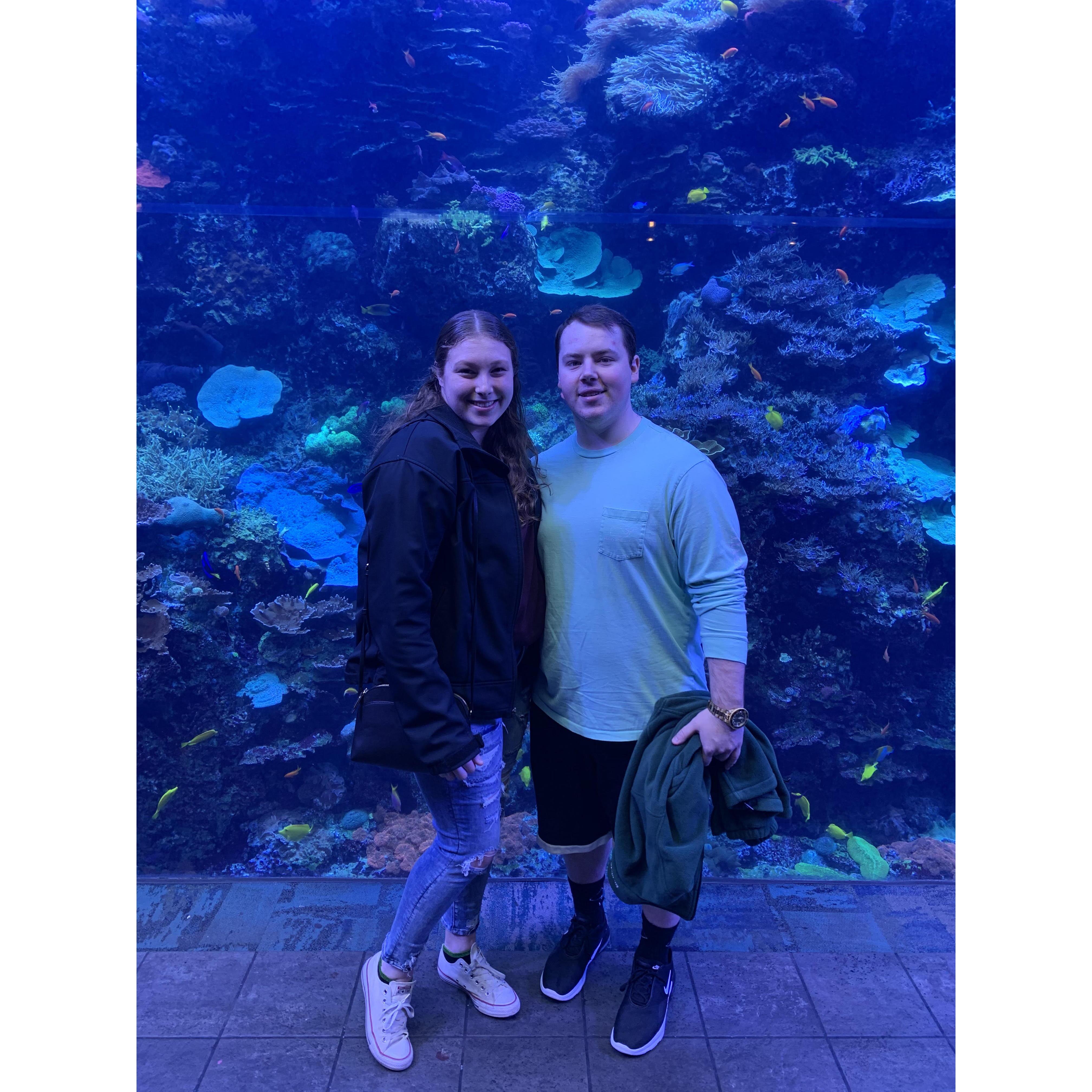 Spring Break 2019