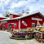 Tomasello Winery at Alstede Farms