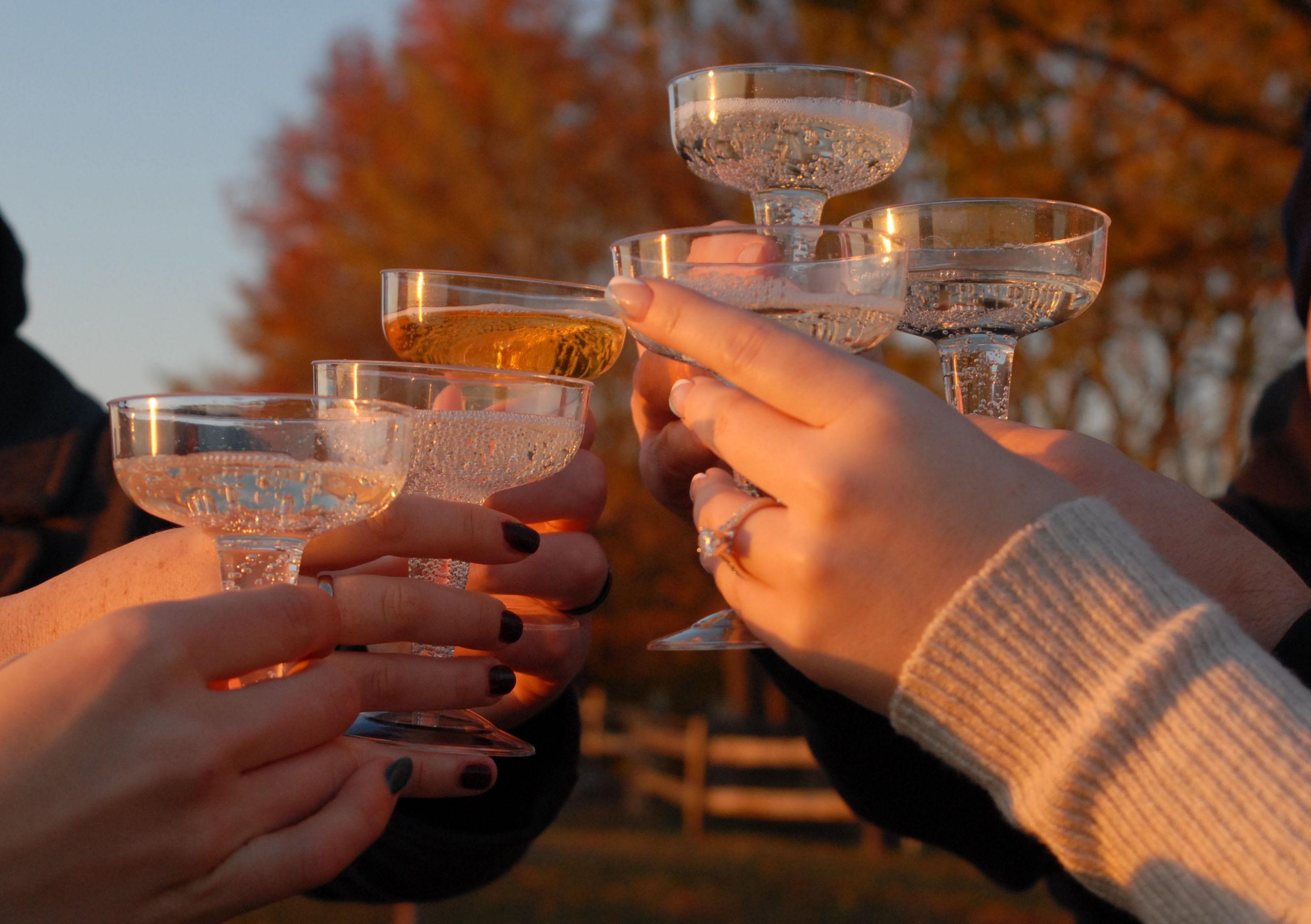 The Wedding Website of Kelly Anne Dickerson and Colin Wexler