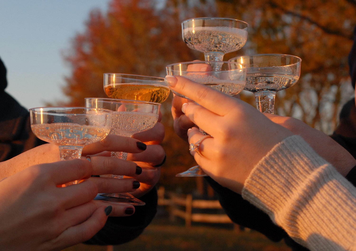 The Wedding Website of Kelly Anne Dickerson and Colin Wexler
