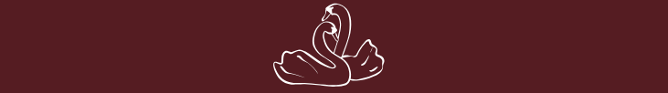 The Wedding Website of Rylee Petitgout and Austin Geasland