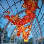 Chihuly Garden and Glass