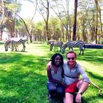 Travel Tour Companies