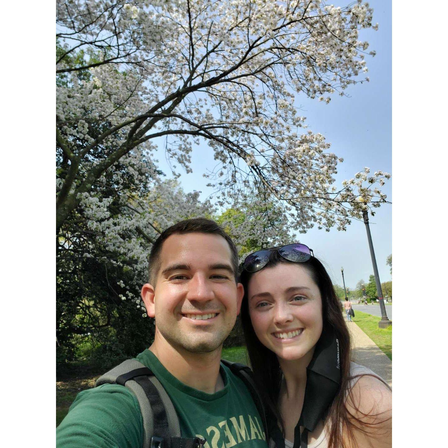 Washington D.C during cherry blossom season.