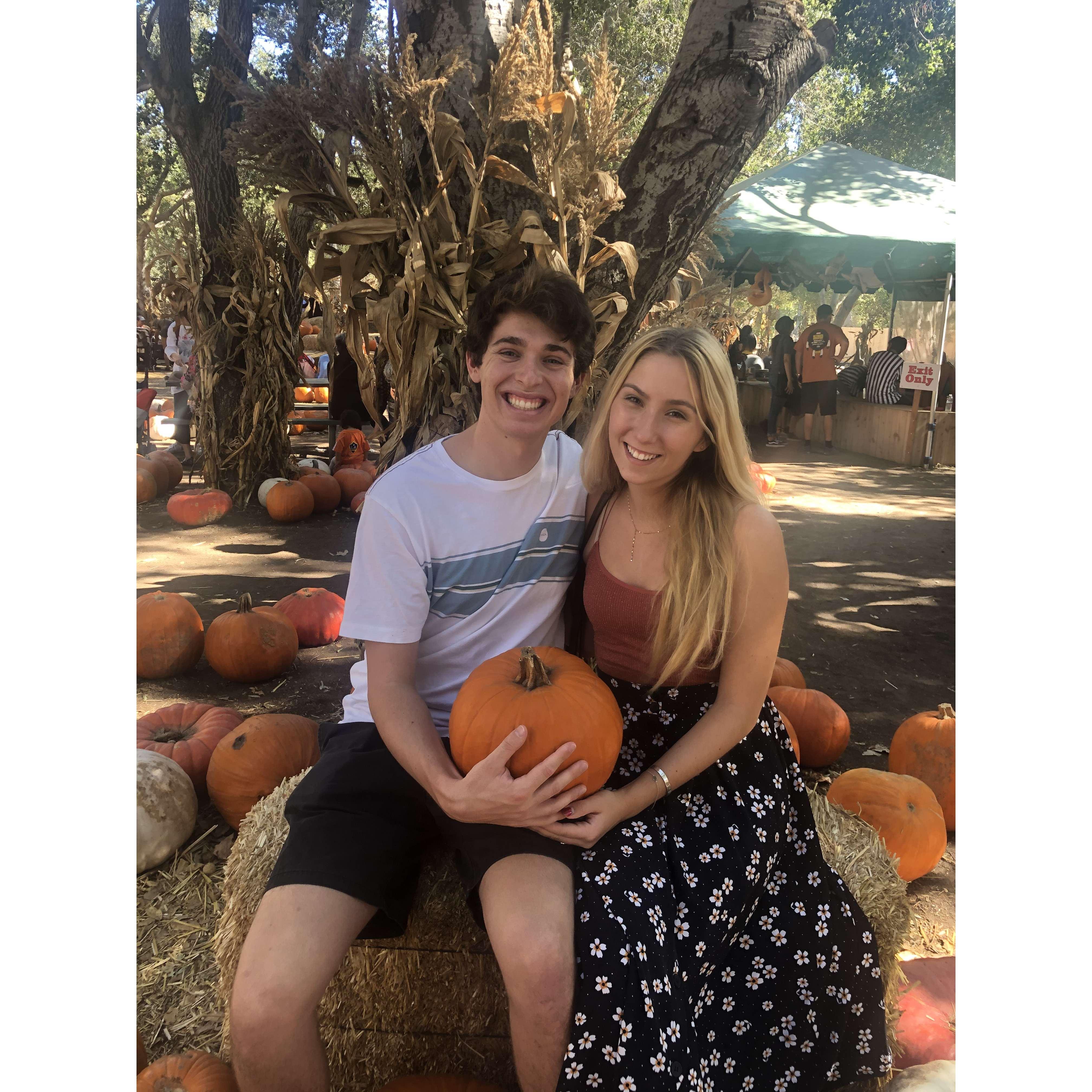 Pumpkin Patch in Fall 2019!