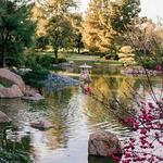 The Japanese Friendship Garden of Phoenix