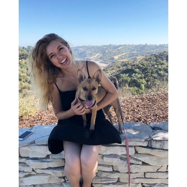 The puppy.